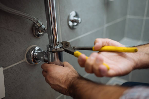 Best Clogged Drain Plumber  in Lannon, WI